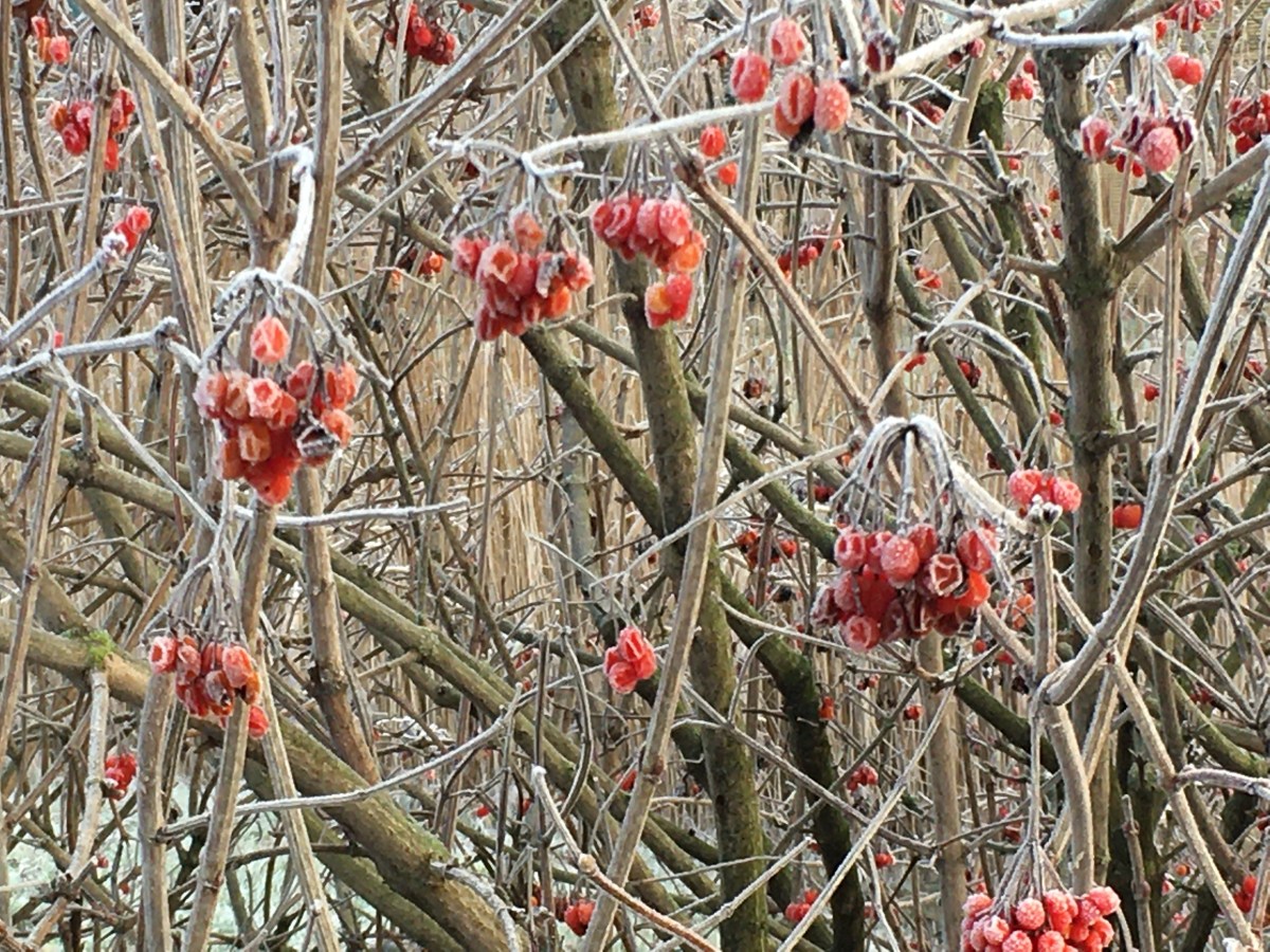 Reflections on the past&nbsp;year