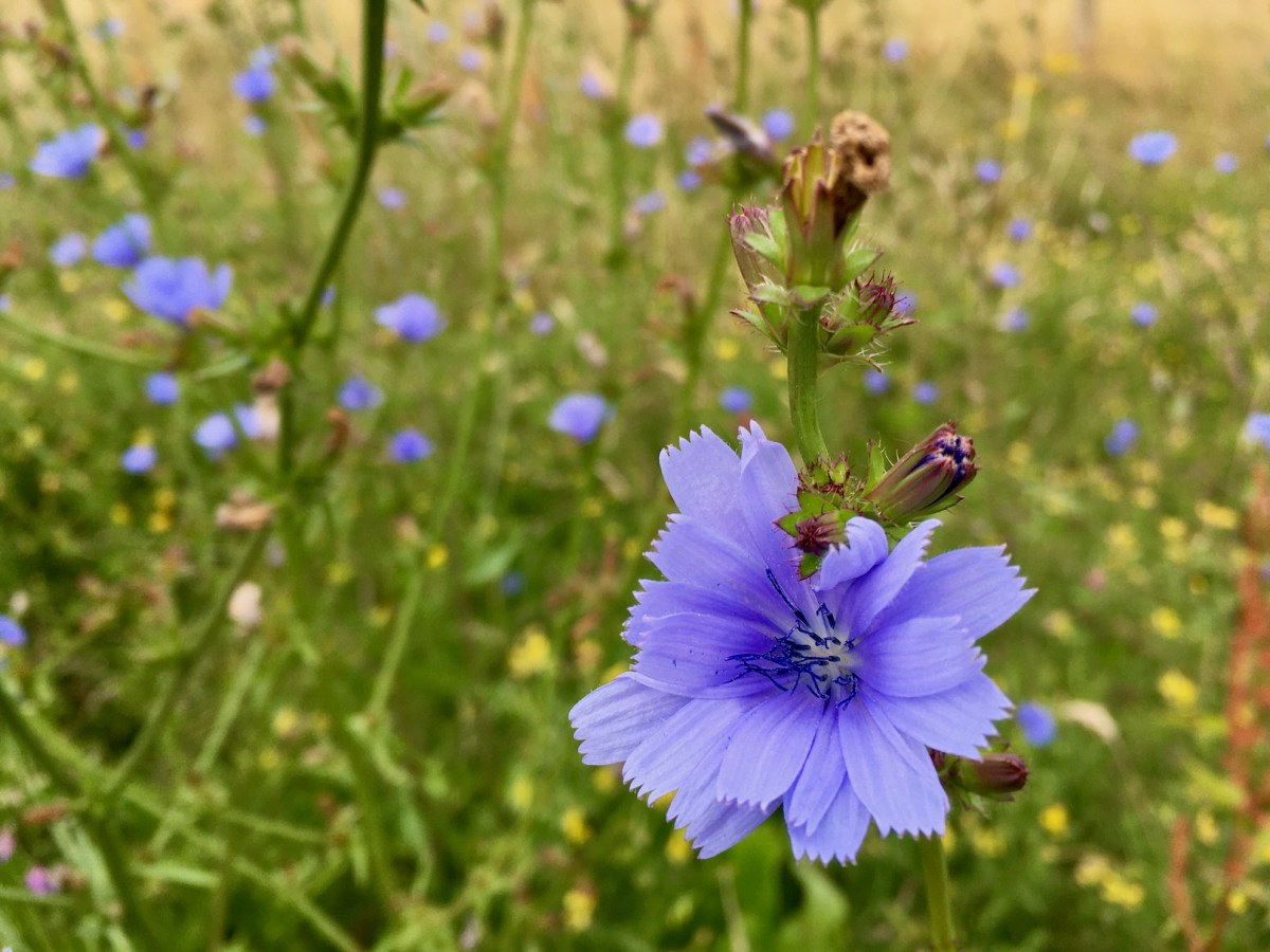 How to overcome the “If only”&nbsp;game