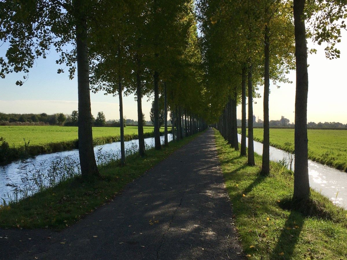 Finding yourself and your very own&nbsp;way