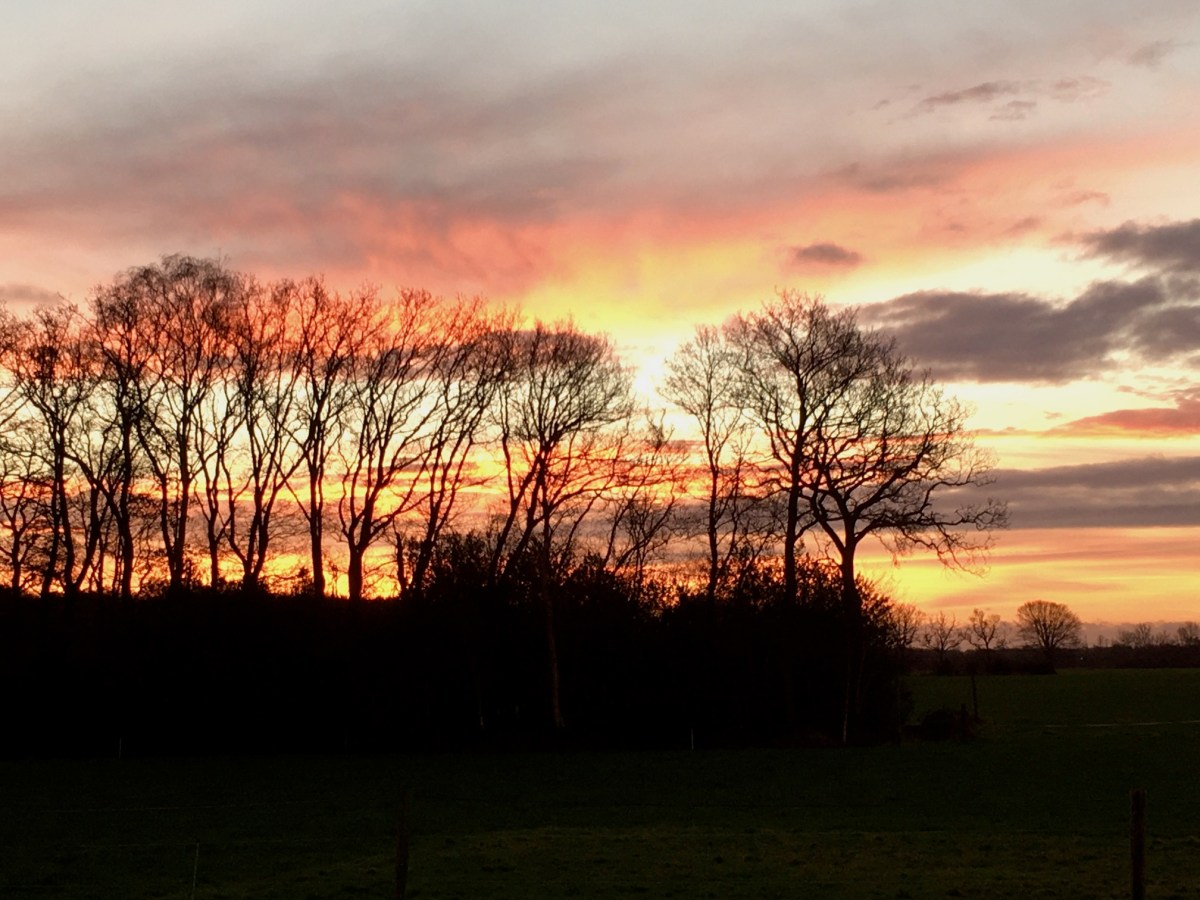 Trust the voice within and learn to let&nbsp;go