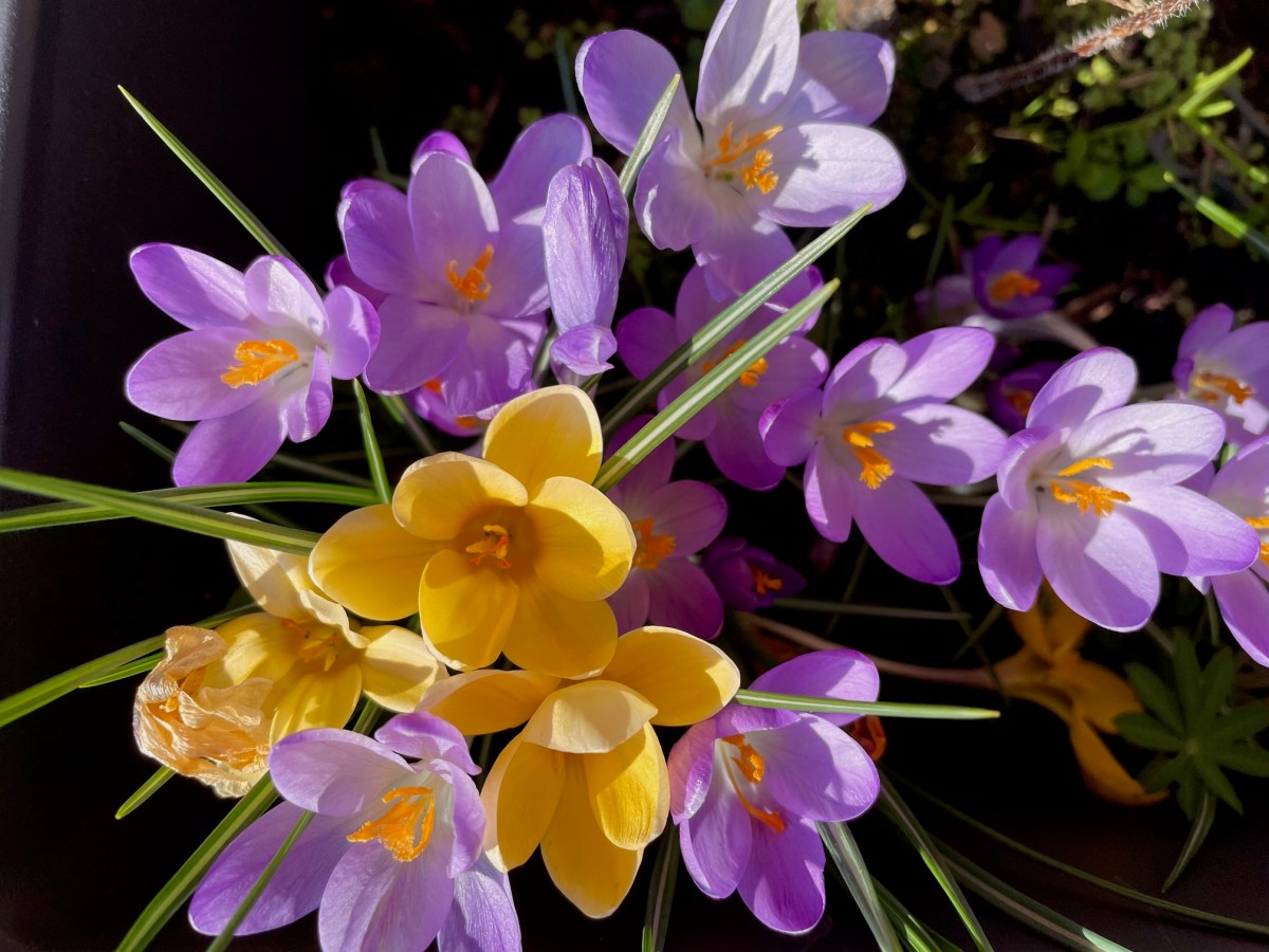 How to navigate these times of&nbsp;uncertainty