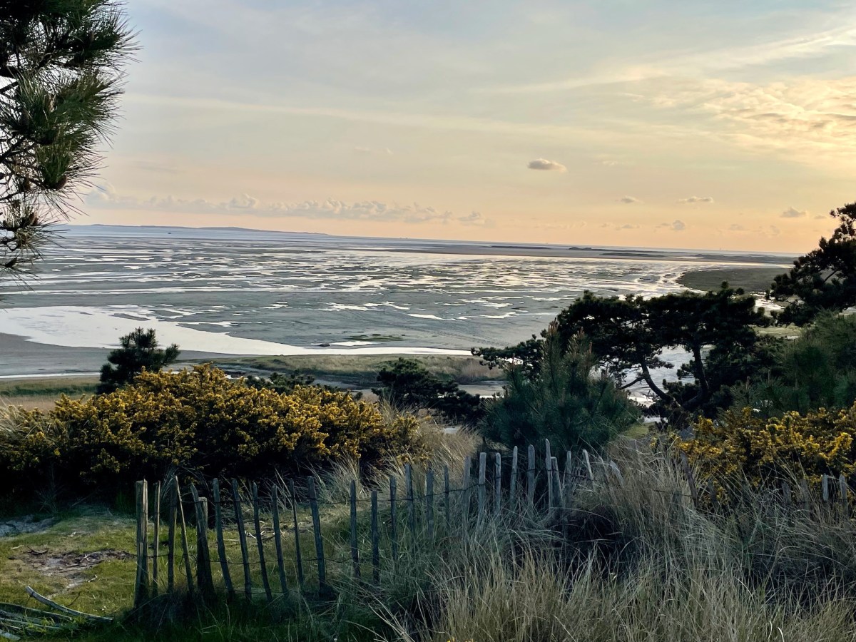 Stop – and embrace the&nbsp;unknown