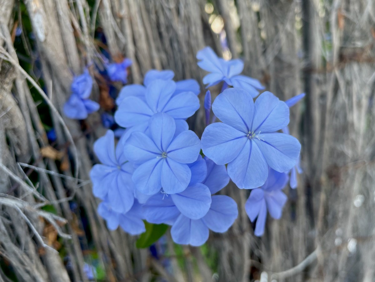 What you can’t be&nbsp;with